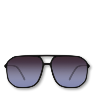 Sunglass 8141
