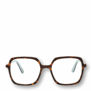 Frank and Lucie Eyeclass