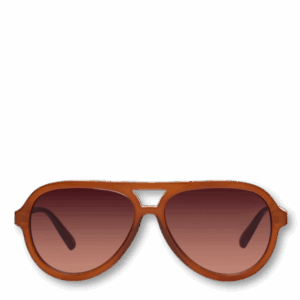 Sunglass 9961