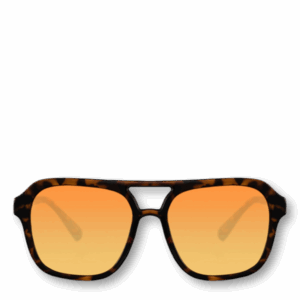 Sunglass 8072
