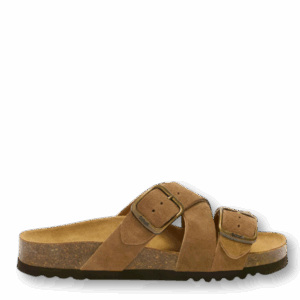 Scholl Selene